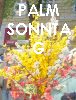 Palmsonntag