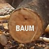 Baum