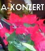 Benefiz Adv.-konzert