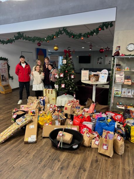 Tierquartier Kiga 25_2