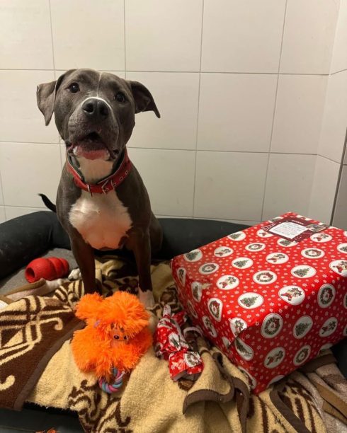 Tierquartier Kiga 25_3