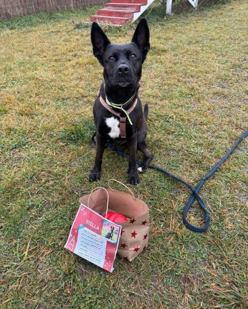 Tierquartier Kiga 25_5