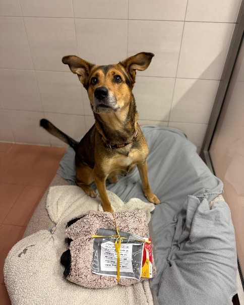 Tierquartier Kiga 25_6