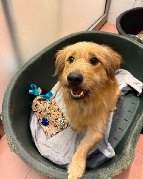 Tierquartier Kiga 25_7