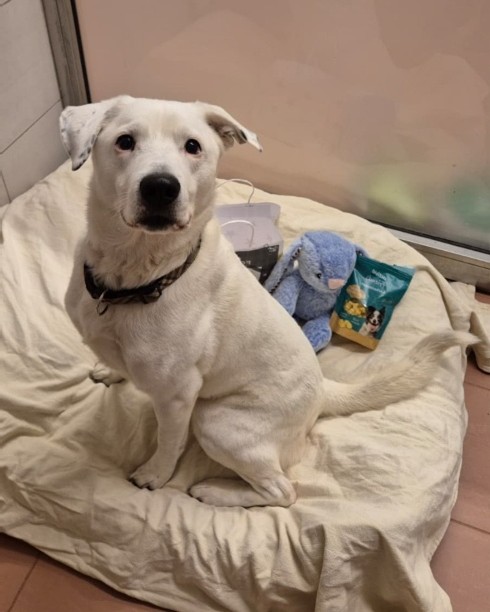 Tierquartier Kiga 25_8